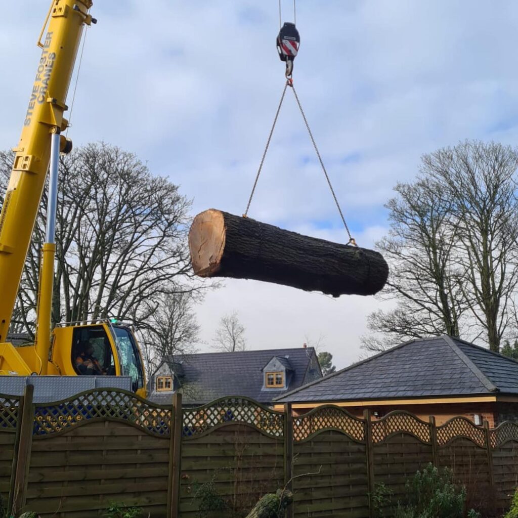 Big Wood