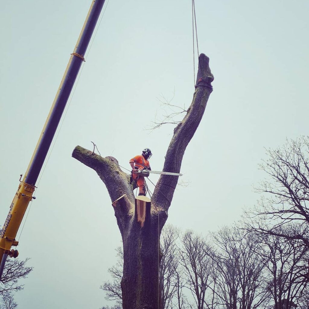 Crane Job